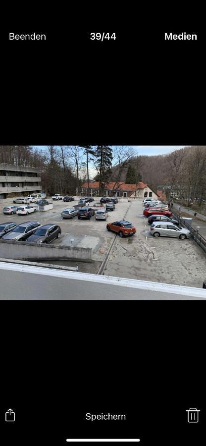 Ferienwohnung Linda Incl Pool, Sauna & Tiefgarage Bad Harzburg Buitenkant foto